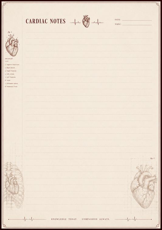Notebook with cardiac illustrations and text on a beige background