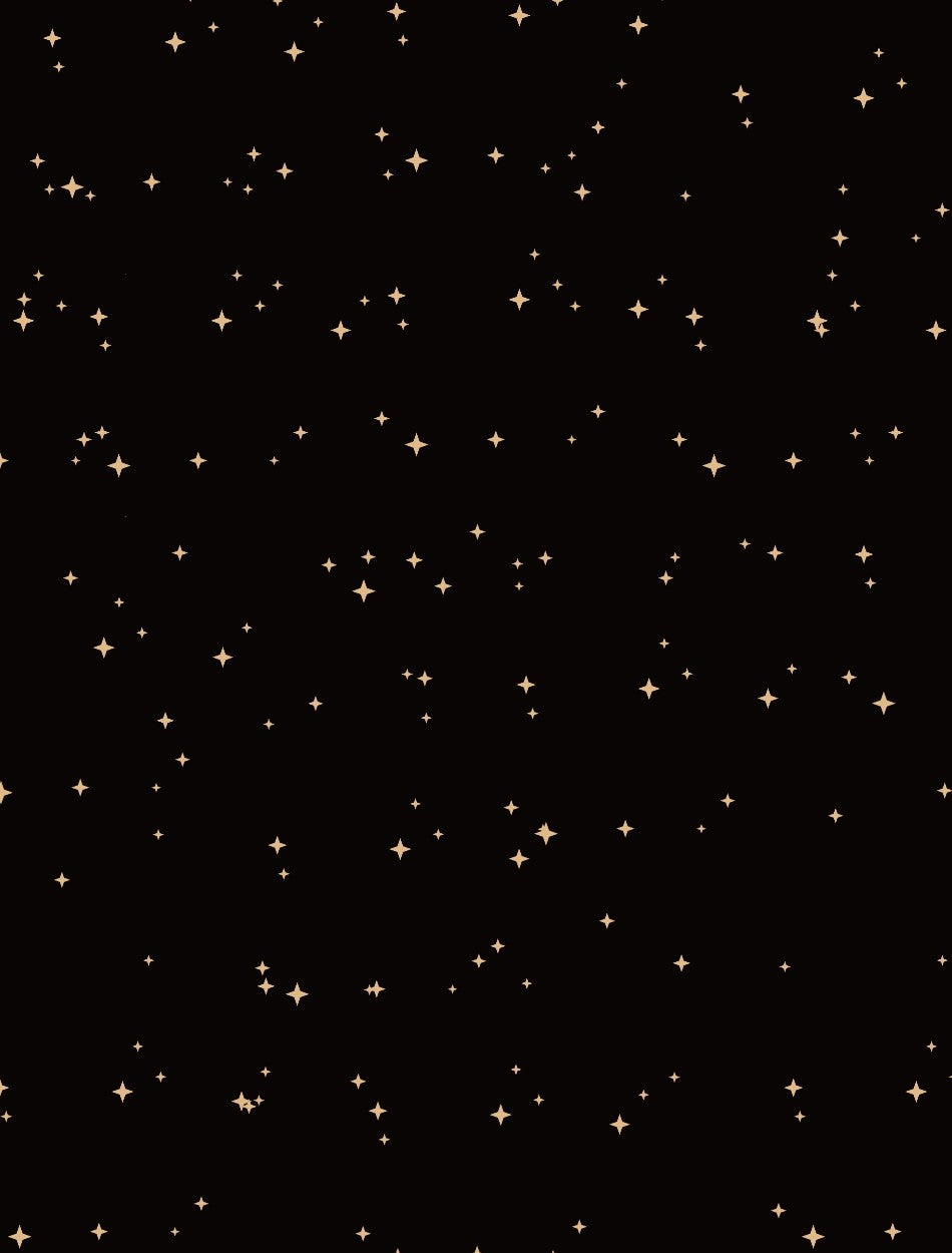 Dark Digital Lined Notebook (PDF)