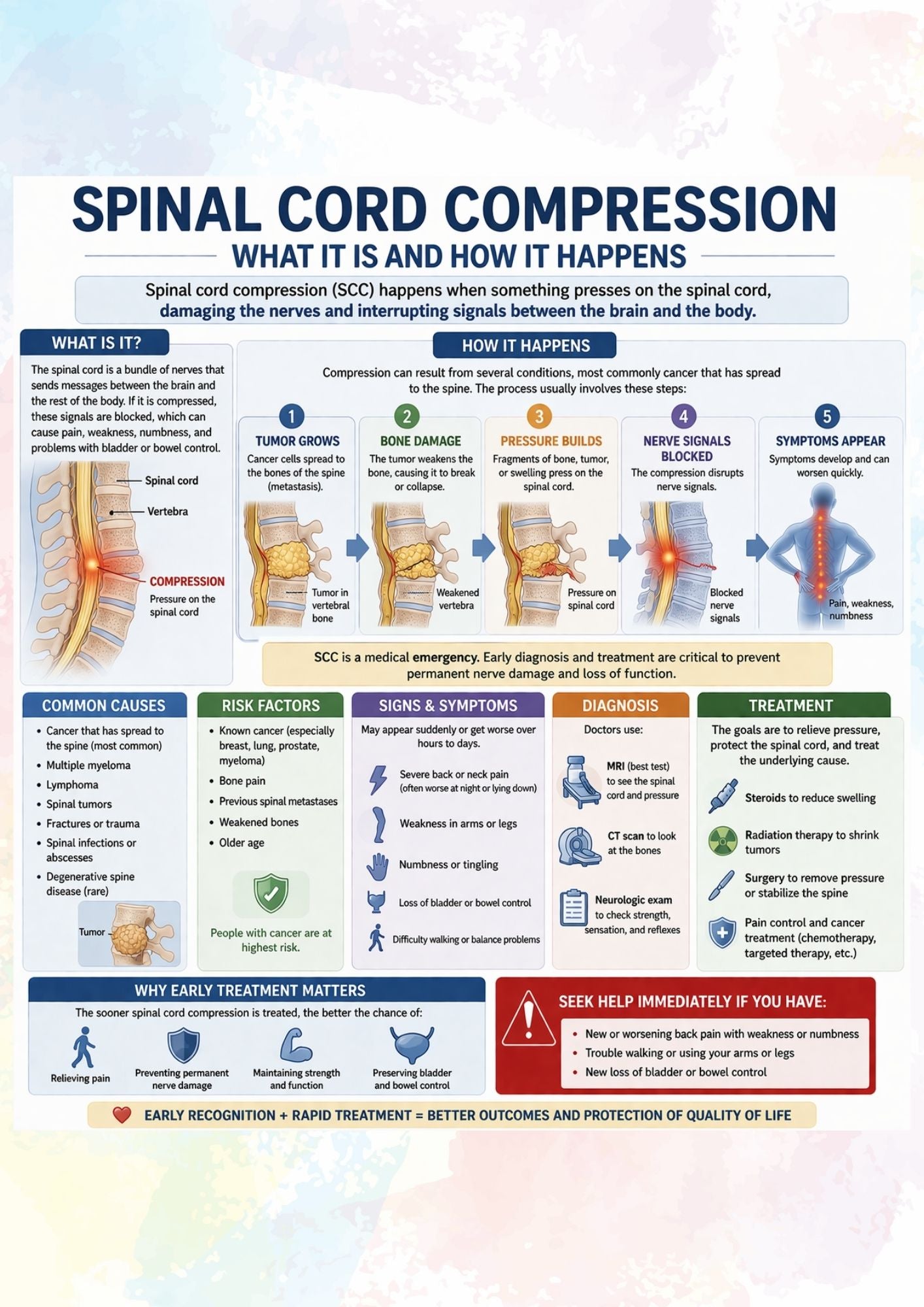 Infographic about spinal cord compression with illustrations and text.