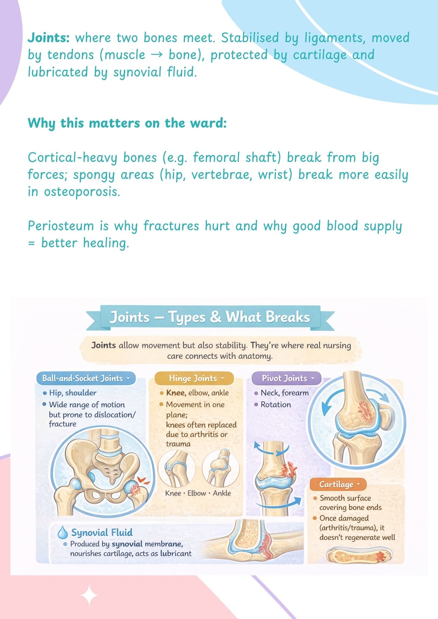 Educational poster about joints, bone structure, and healing on a colorful background