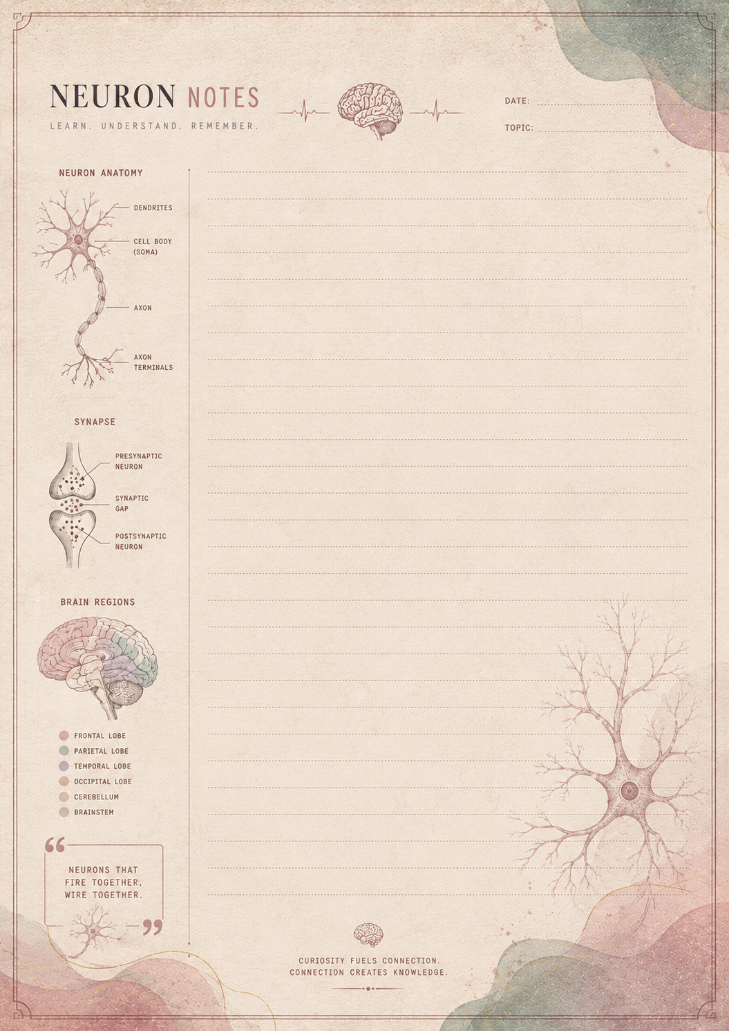 Notebook with neuron illustrations and text on a beige background
