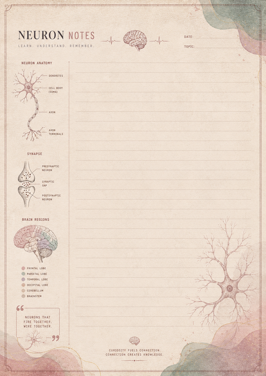 Notebook with neuron illustrations and text on a beige background