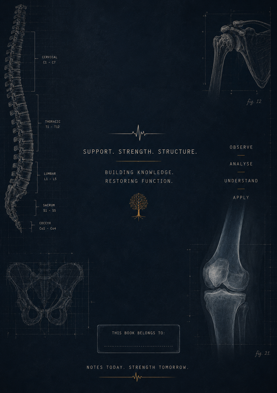 Anatomical diagram of bones with text on a dark background